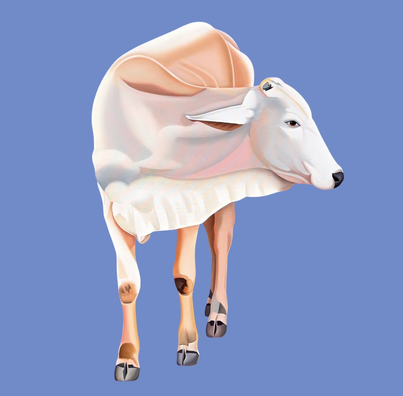 Bovine - I by Feroz Khan