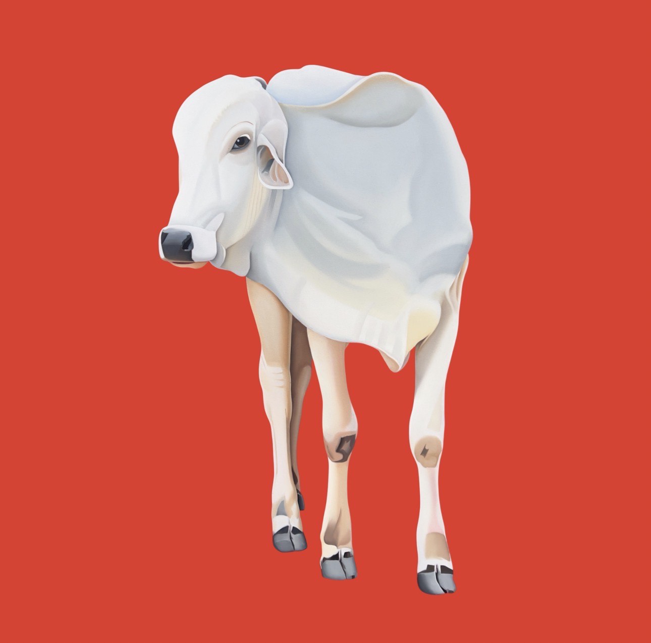 Bovine - II by Feroz Khan