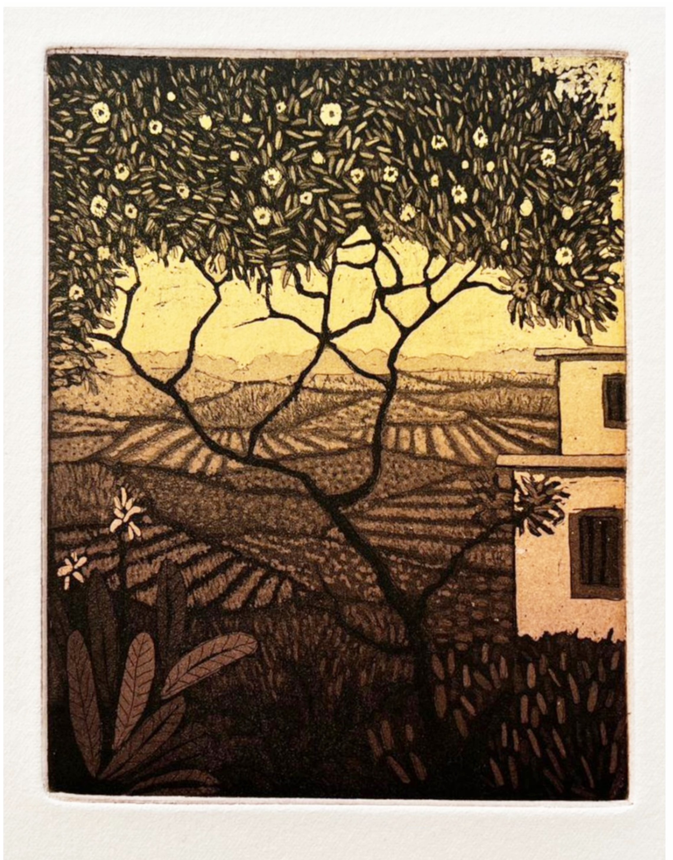 Evening by Biswajit Roy